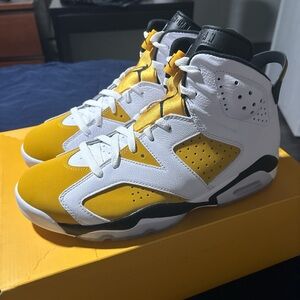 Air Jordan 6 retro